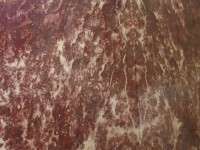 /album/marmore/marmore-fleur-rouge-jpg/